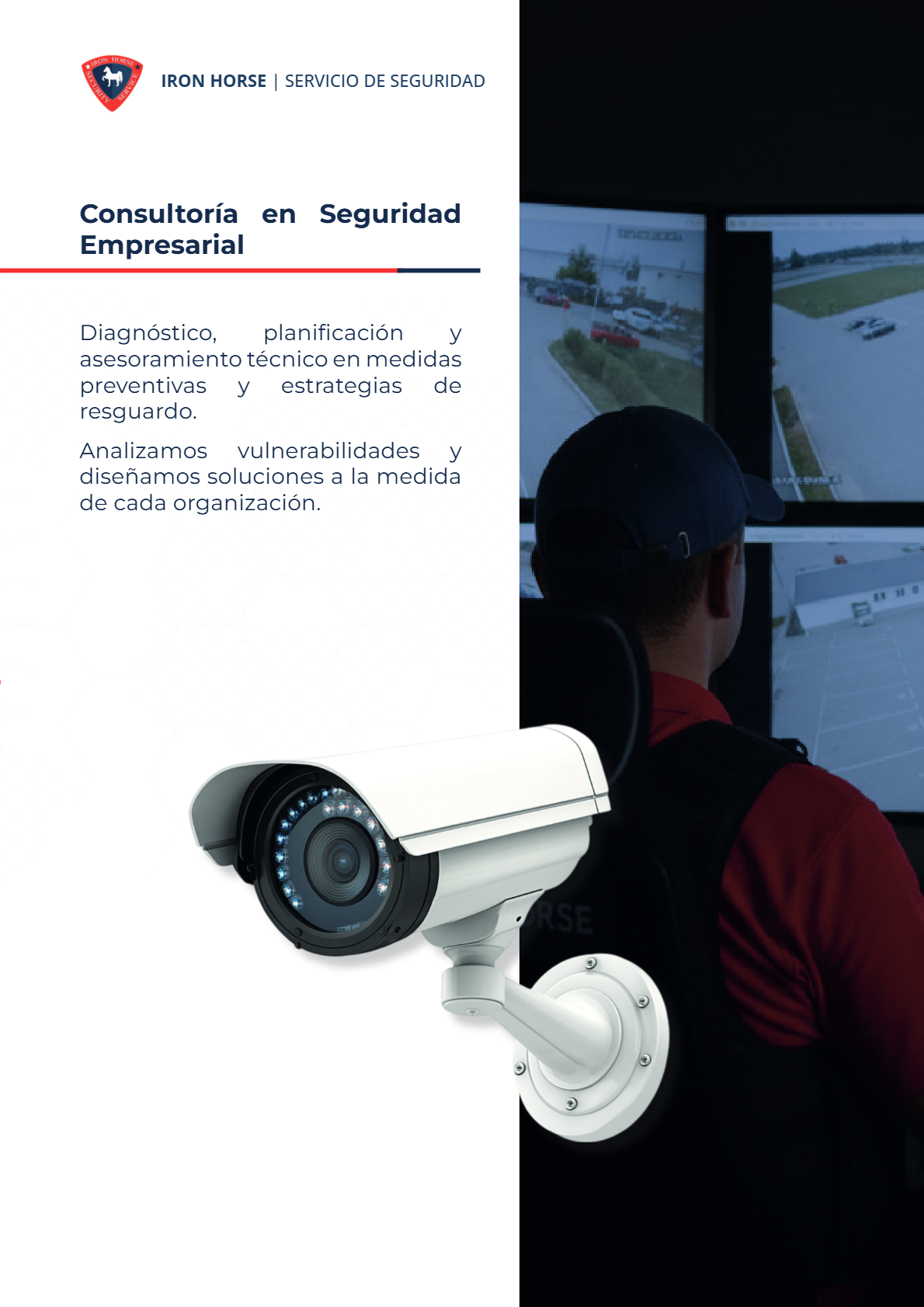 Consultorías